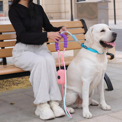 No-Pull Dog Leash for Small & Medium Breeds