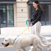 No-Pull Dog Leash for Small & Medium Breeds