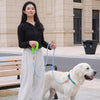 No-Pull Dog Leash for Small & Medium Breeds