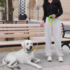 No-Pull Dog Leash for Small & Medium Breeds