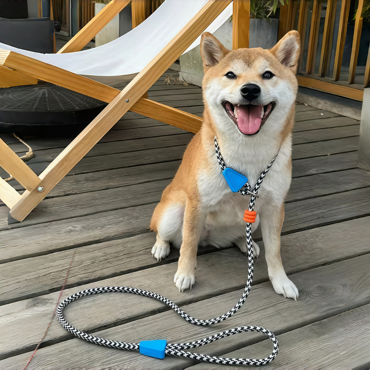 No-Pull Shock-Absorbing Dog Leash