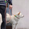 No-Pull Shock-Absorbing Dog Leash