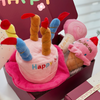 Pet Plush Toy Birthday Gift Set