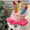 Pet Plush Toy Birthday Gift Set