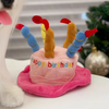 Pet Plush Toy Birthday Gift Set