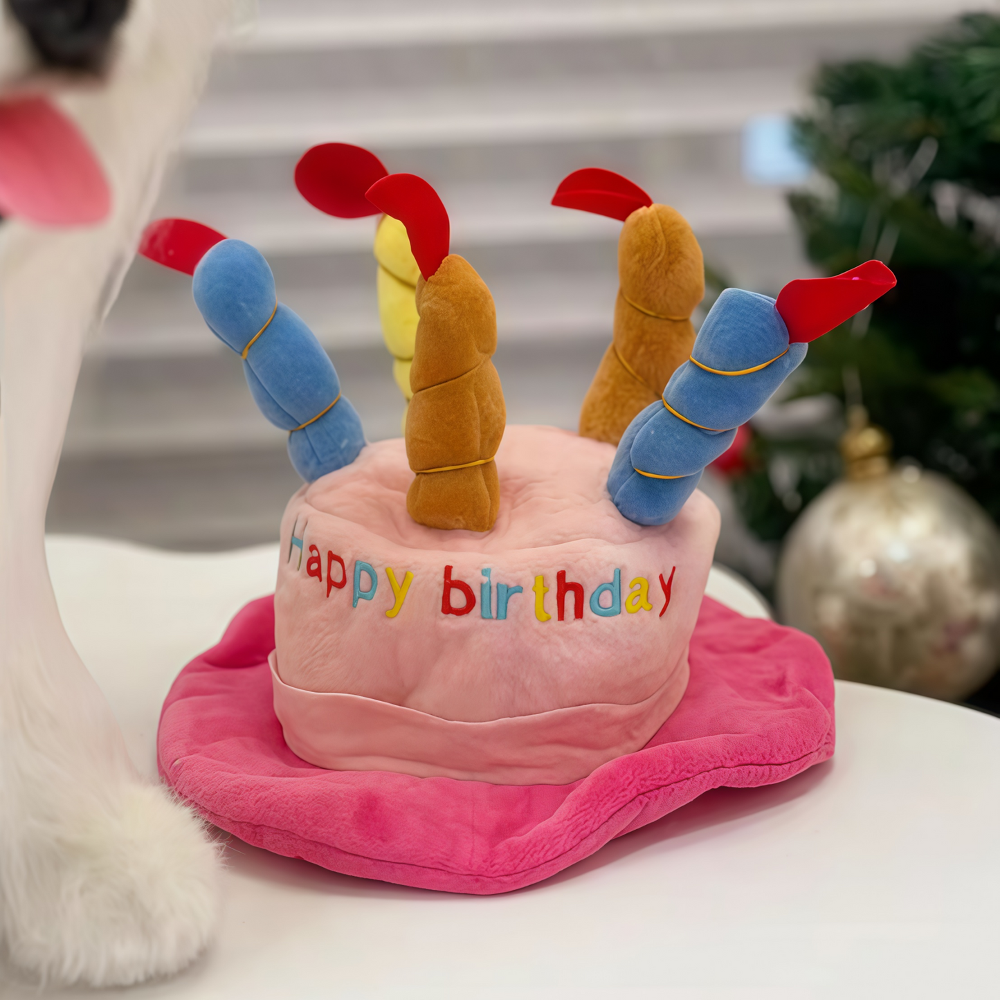 Pet Plush Toy Birthday Gift Set