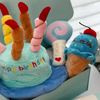 Pet Plush Toy Birthday Gift Set