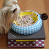 “Playful Bowls” Pet Bowl