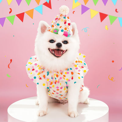 Polka Dot Lace Pet Bib & Birthday Set (Hat + Bib)