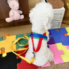 Rainbow Harness & Leash Set