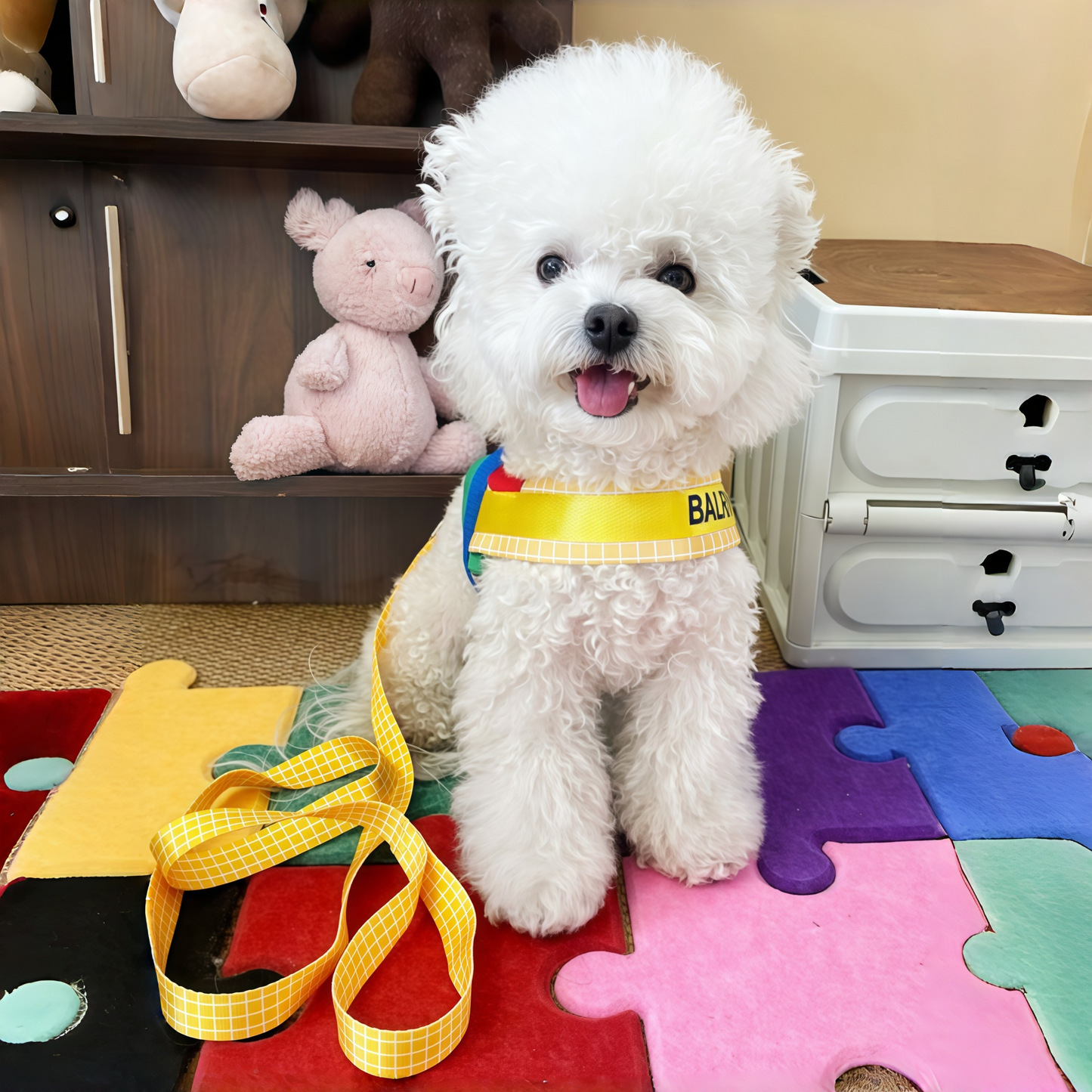 Rainbow Harness & Leash Set
