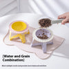 Orbit Raised Ceramic Slow-Feeder Cat Bowl with Iron Stand