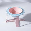 Orbit Raised Ceramic Slow-Feeder Cat Bowl with Iron Stand