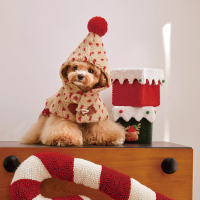 Winter Pet Outfit Set: Teddy Cape + Wool-Look Dress + Reversible Scarf