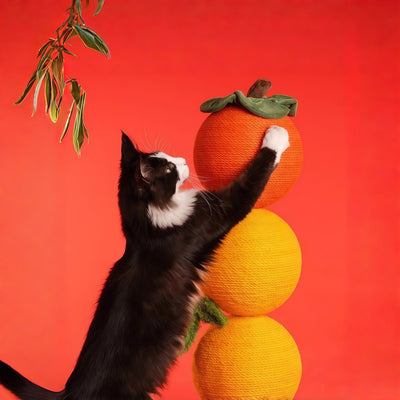 “Good Persimmon” Dual-Post Cat Scratcher Tree